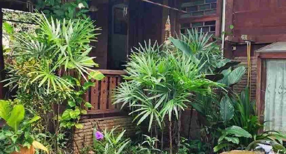 Casa en venta de 5 habitaciones en San Sai, Chiang Mai