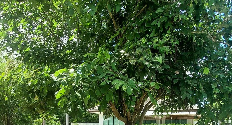 For sale 2 bedrooms house in Mueang Rayong, Rayong