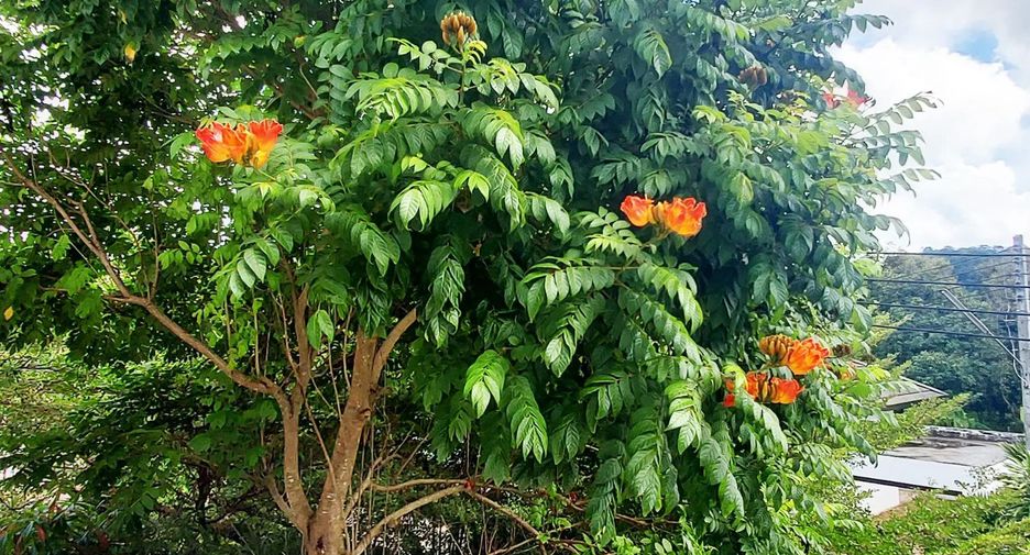 For sale 2 bedrooms house in Mueang Rayong, Rayong