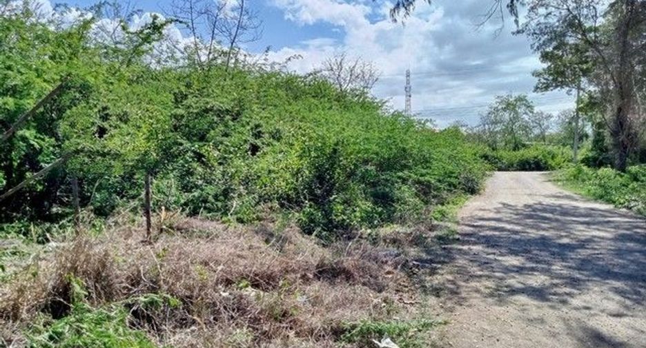 Grundstück zum Kauf in Kaeng Krachan, Phetchaburi
