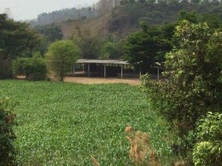 For sale 1 bed house in Chae Hom, Lampang