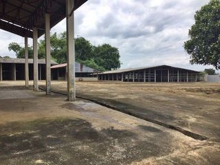 For sale 1 bed warehouse in Samoeng, Chiang Mai