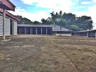 For sale 1 bed warehouse in Samoeng, Chiang Mai