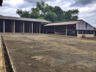 For sale 1 bed warehouse in Samoeng, Chiang Mai