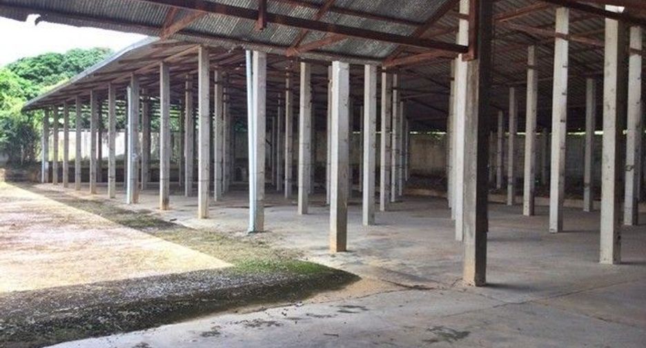 For sale 1 bed warehouse in Samoeng, Chiang Mai