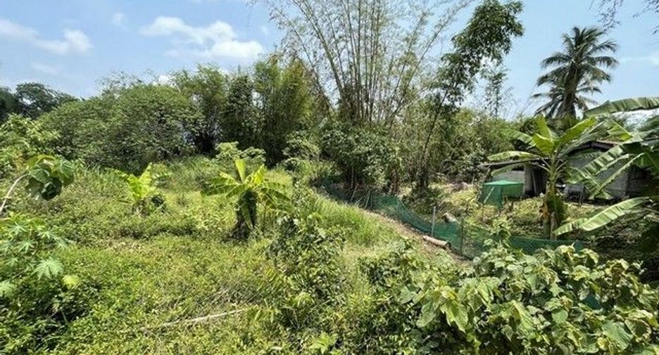 Terreno en venta en Samoeng, Chiang Mai