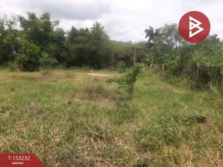 For sale land in Phan Thong, Chonburi
