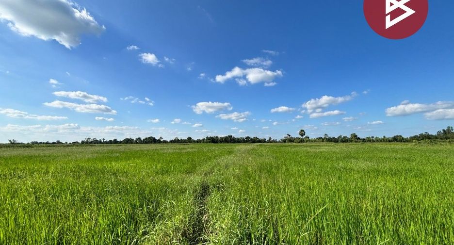 For sale land in Phimai, Nakhon Ratchasima