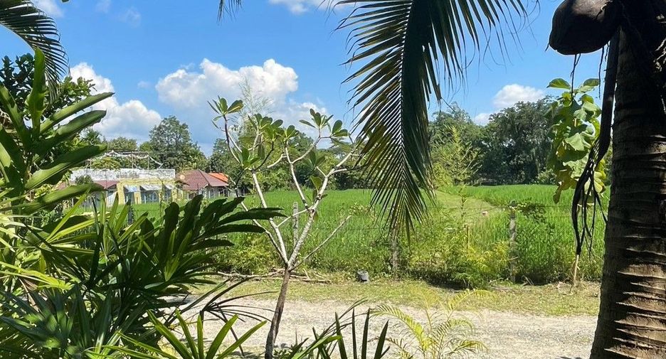 For rent 2 bedrooms house in Mae Rim, Chiang Mai