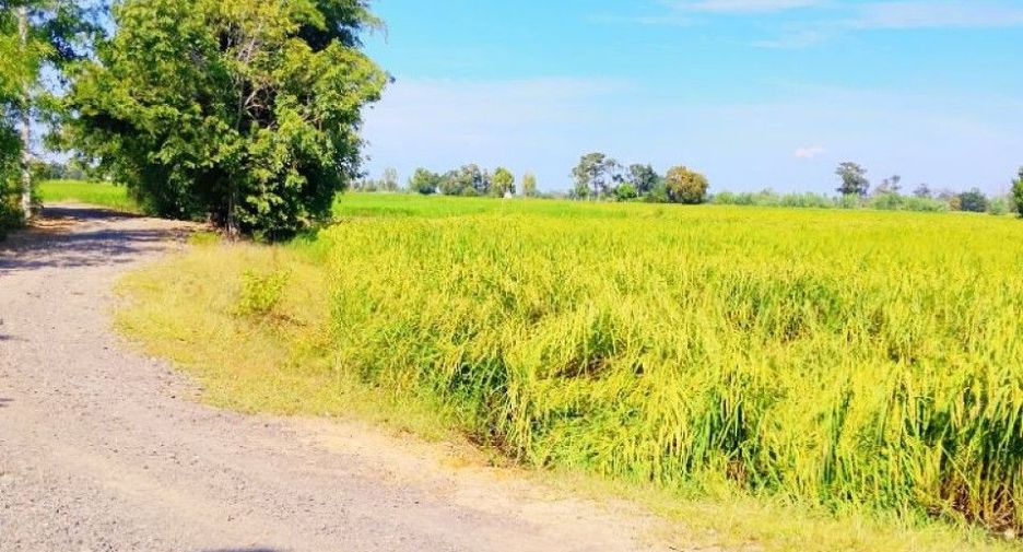 For sale land in Sikhoraphum, Surin