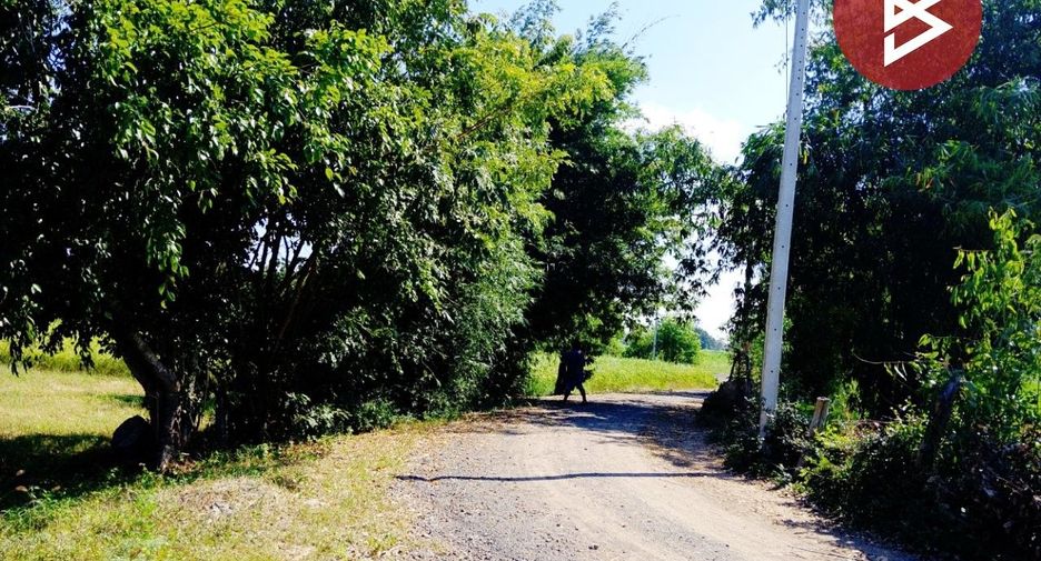 For sale land in Sikhoraphum, Surin