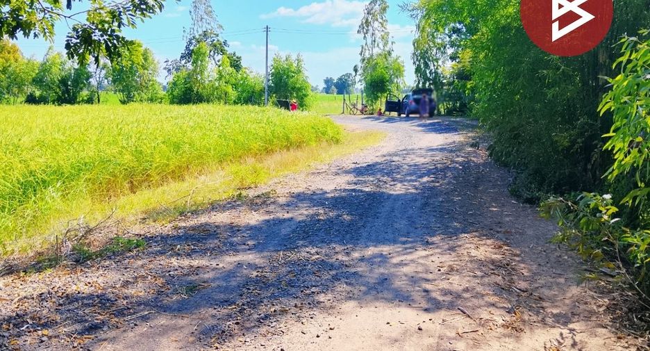 For sale land in Sikhoraphum, Surin