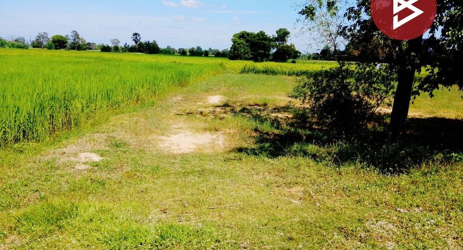 For sale land in Sikhoraphum, Surin