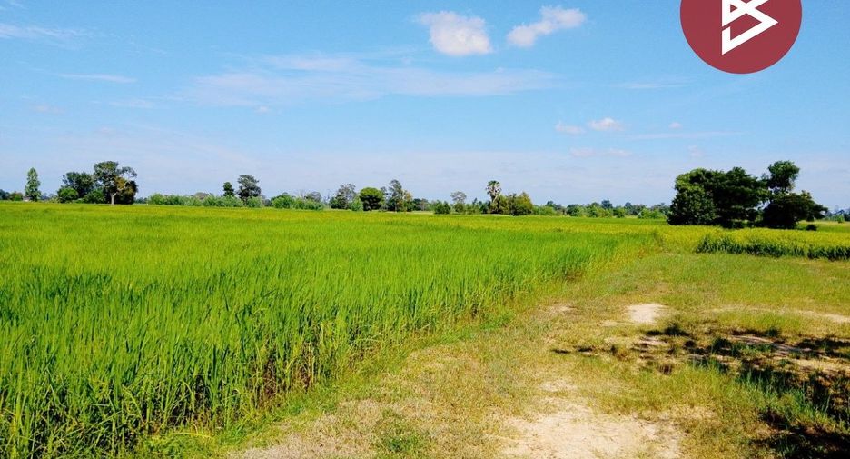 For sale land in Sikhoraphum, Surin