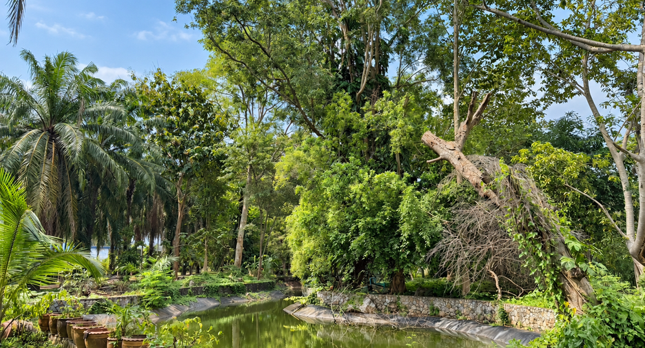 For sale 6 bedrooms house in Klaeng, Rayong