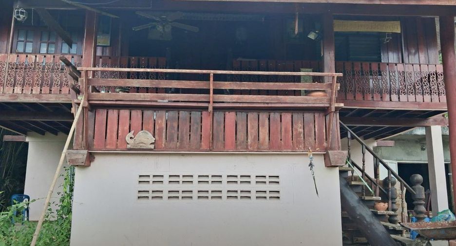 For sale land in Wiang Pa Pao, Chiang Rai