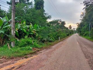 For sale land in Phon Sawan, Nakhon Phanom