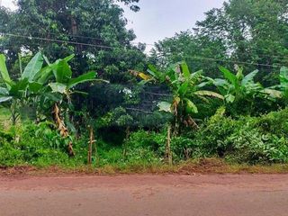 For sale land in Phon Sawan, Nakhon Phanom