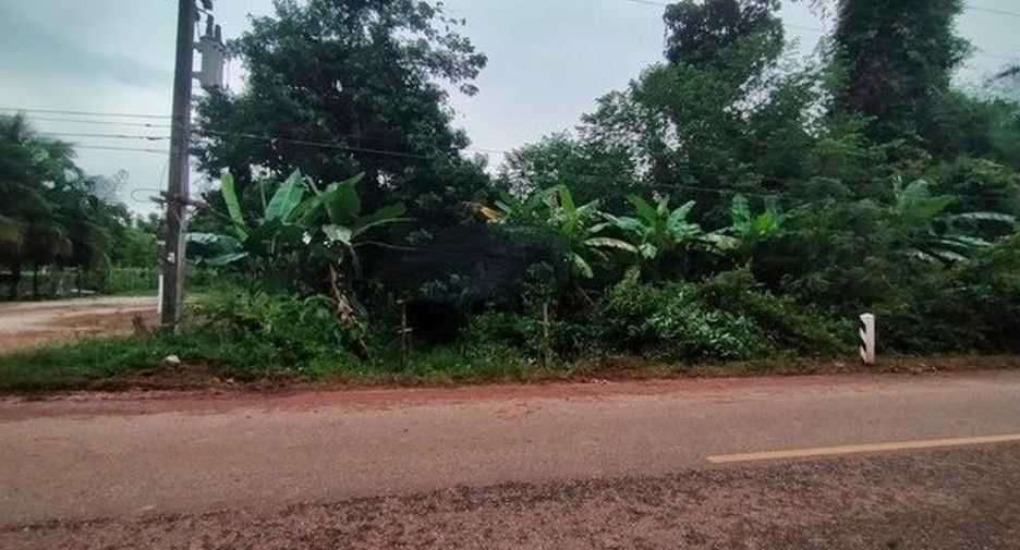 For sale land in Phon Sawan, Nakhon Phanom
