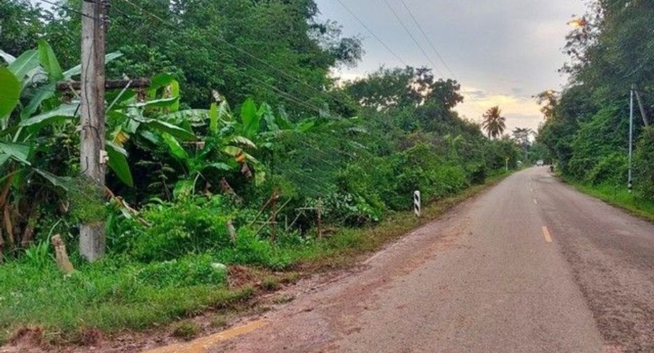 For sale land in Phon Sawan, Nakhon Phanom