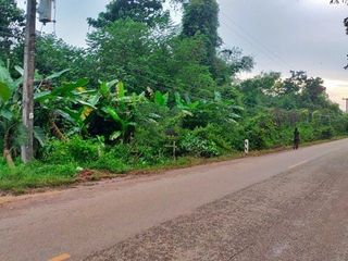 For sale land in Phon Sawan, Nakhon Phanom