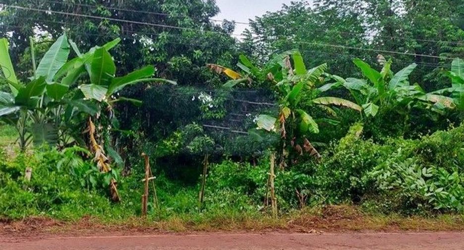 For sale land in Phon Sawan, Nakhon Phanom