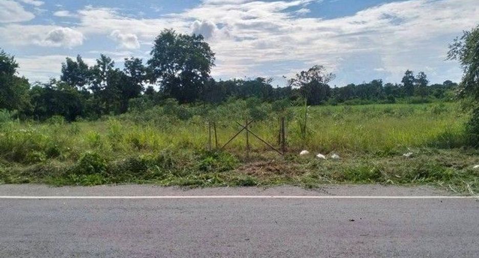 For sale land in Nong Bua Daeng, Chaiyaphum