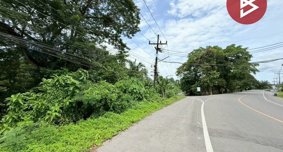 Grundstück zum Kauf in Tha Chana, Surat Thani