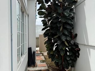 Haus zur Miete mit 4 Zimmer in Bang Phli, Samut Prakan