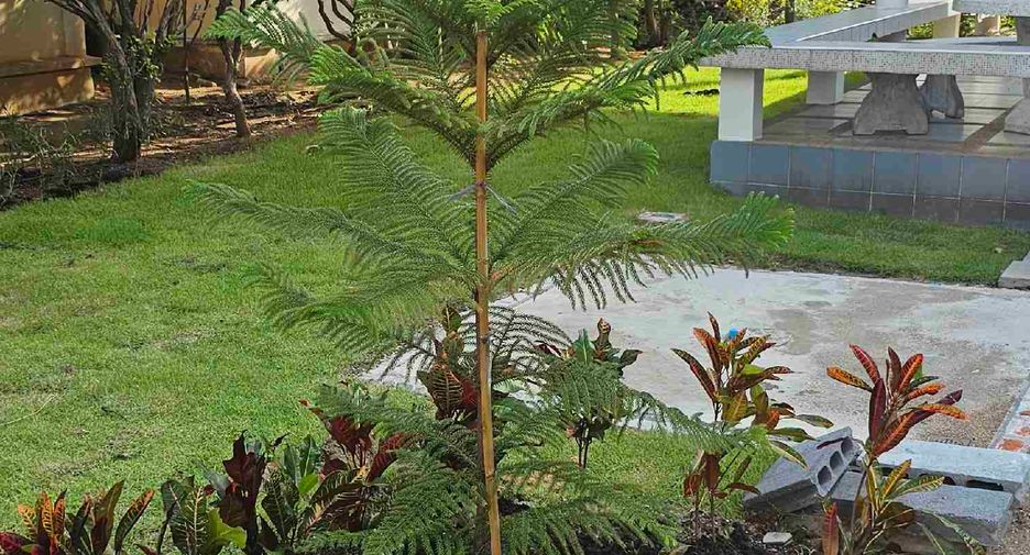 For rent 3 bedrooms house in Mueang Rayong, Rayong
