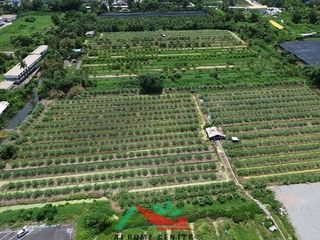 Terreno en venta en Nong Khaem, Bangkok