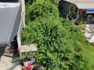 For sale land in U Thong, Suphan Buri