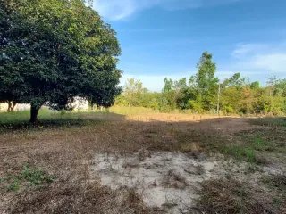 For sale land in Mueang Rayong, Rayong