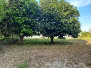 For sale land in Mueang Rayong, Rayong