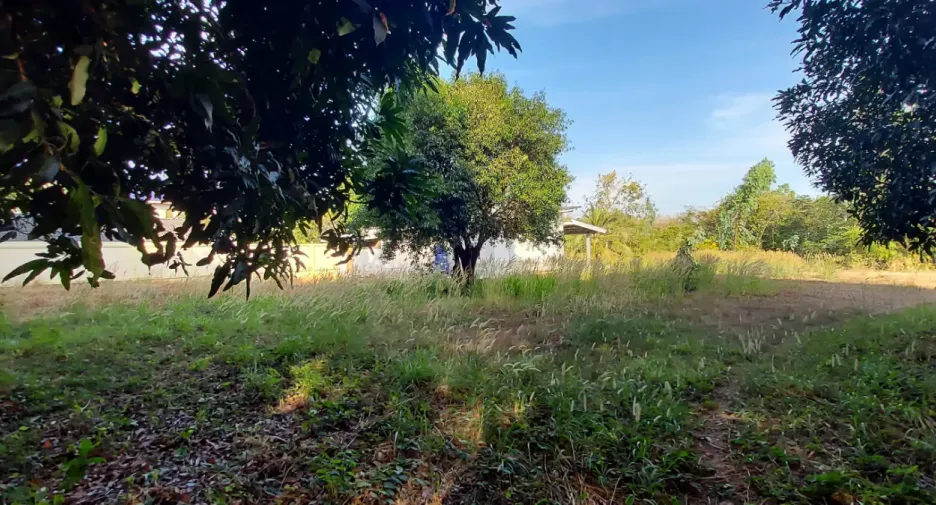 For sale land in Mueang Rayong, Rayong