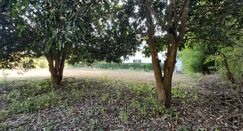 For sale land in Mueang Rayong, Rayong