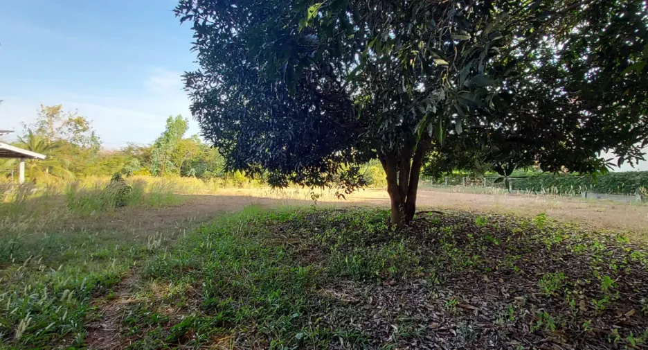 For sale land in Mueang Rayong, Rayong