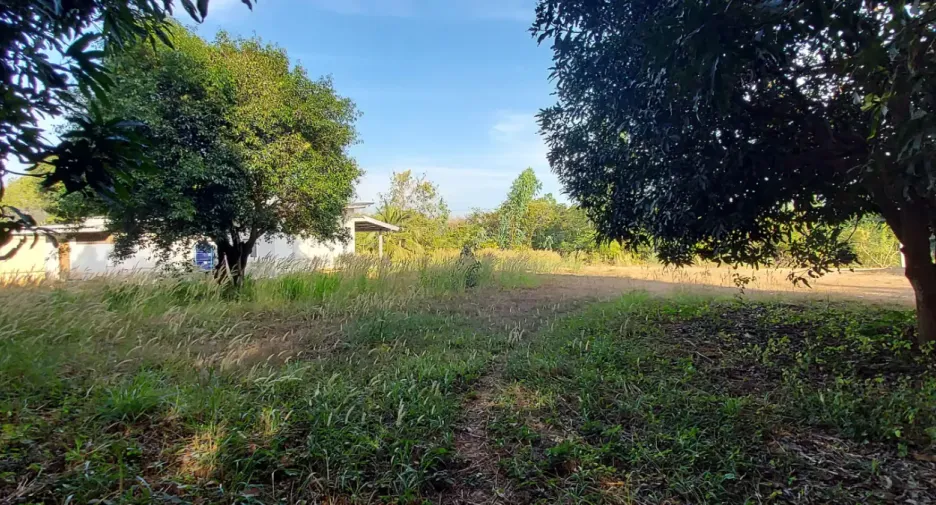 For sale land in Mueang Rayong, Rayong