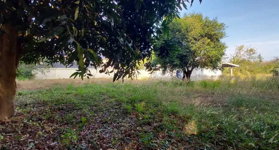 For sale land in Mueang Rayong, Rayong
