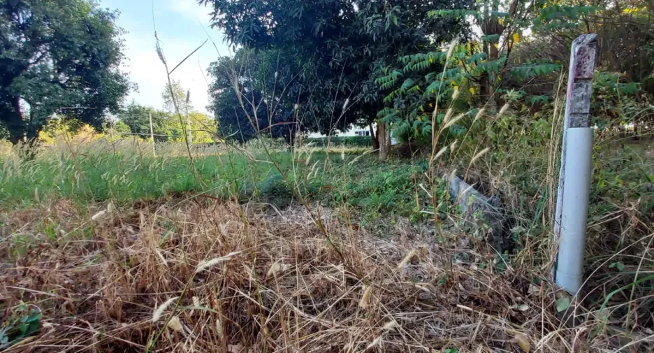 For sale land in Mueang Rayong, Rayong