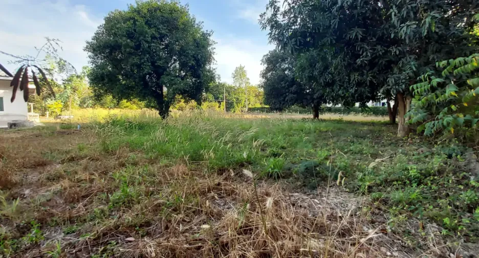 For sale land in Mueang Rayong, Rayong