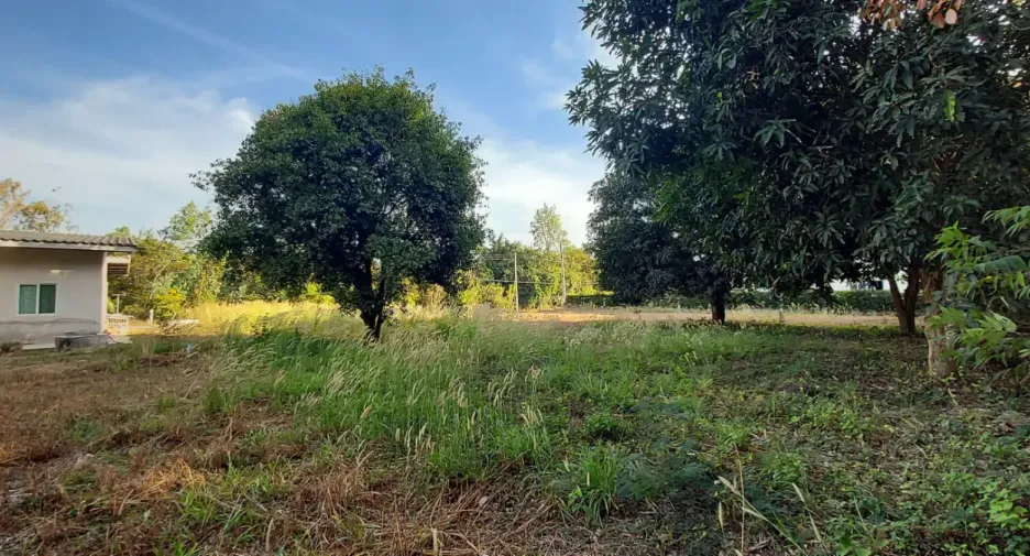 For sale land in Mueang Rayong, Rayong