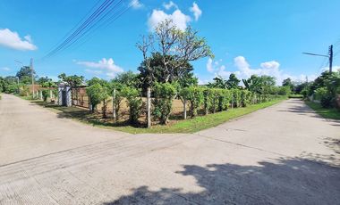 For sale land in Mueang Udon Thani, Udon Thani