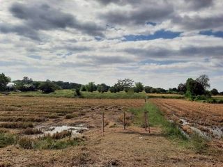 For sale land in Mueang Maha Sarakham, Maha Sarakham