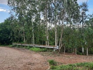 For sale land in Mueang Bung Kan, Bueng Kan