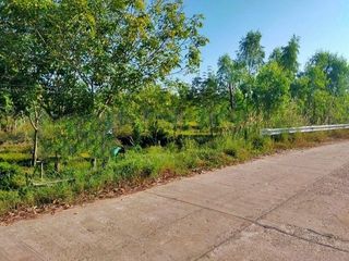 For sale land in Mueang Bung Kan, Bueng Kan