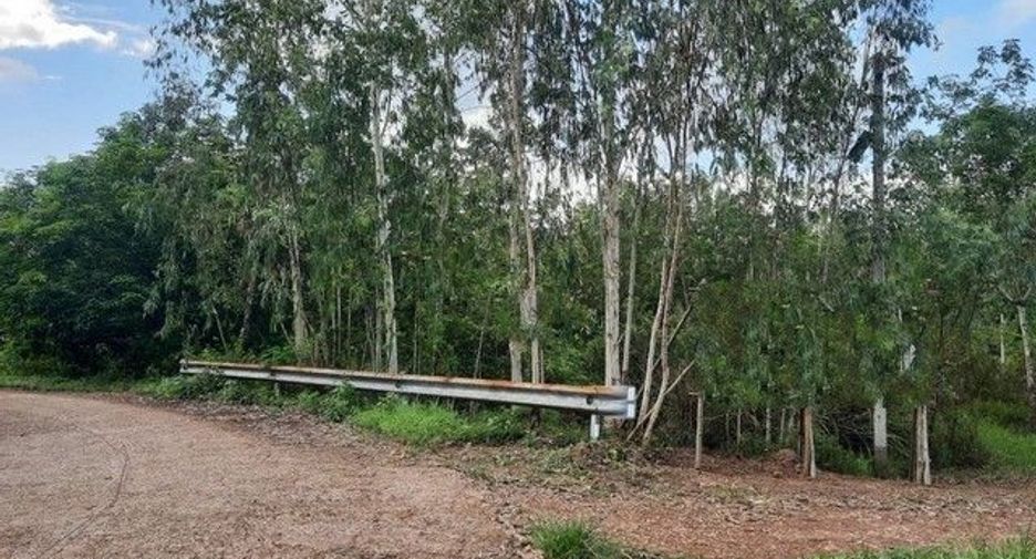 For sale land in Mueang Bung Kan, Bueng Kan