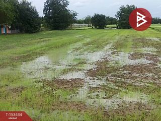 For sale land in Don Chedi, Suphan Buri