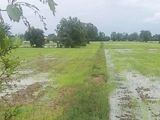For sale land in Don Chedi, Suphan Buri