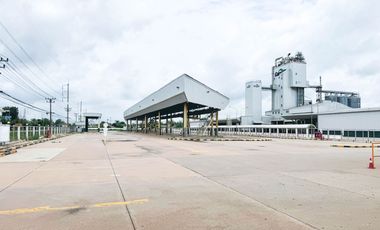 出售 仓库 在 Kabin Buri, Prachin Buri